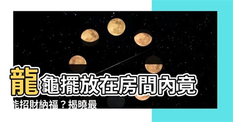 龍龜擺放位置2023|龍龜的功效、擺設位置、禁忌、開光